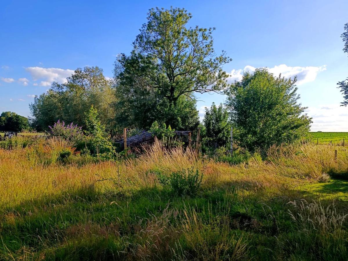 Au Pied Du Trieu, The Glamping Experience Otel Labroye Dış mekan fotoğraf